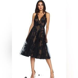 Dress the Population
Blair Sequin Embroidered Mesh V-Neck Sleeveless A-Line